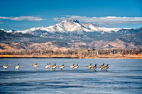 McIntosh Lake, Longmont