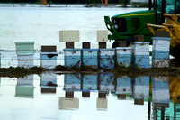 Flooded fields west of Airport Road north of St. Vrain River